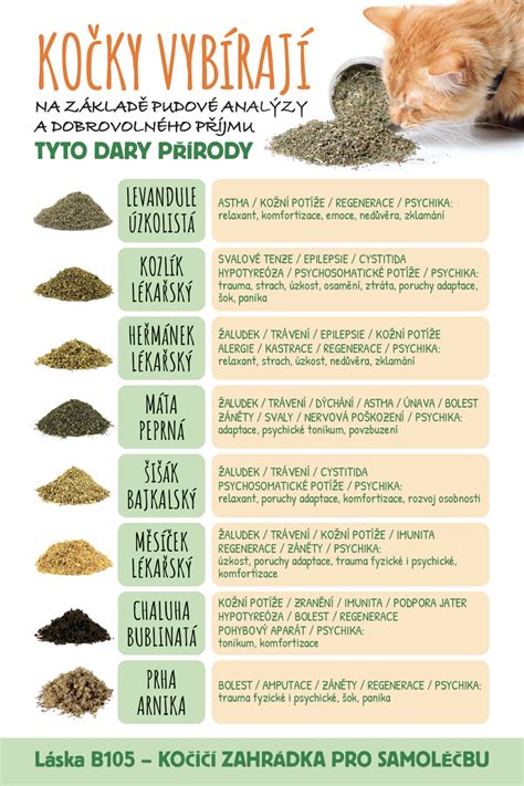 infografika nutričných hodnôt ražnej kocky
