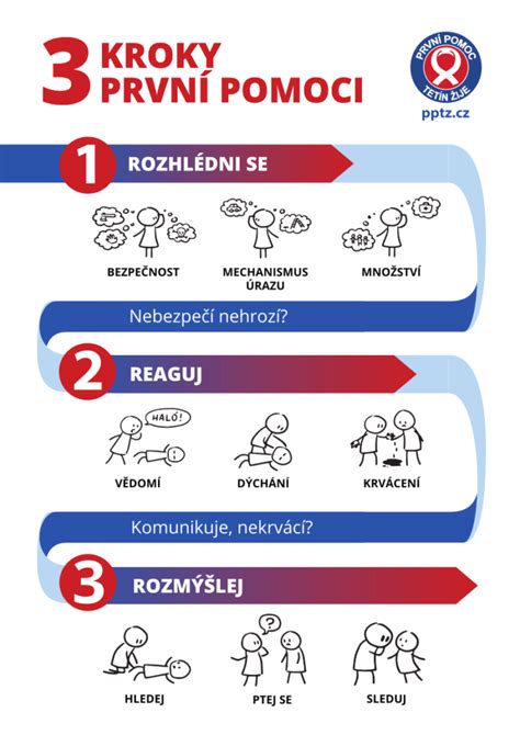 Schéma: Kľúčové kroky pri čistení hovädzích obličiek