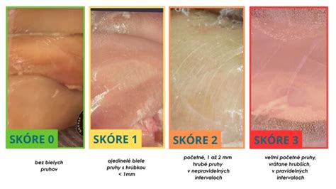 schéma biochemických zmien v mäse po porážke