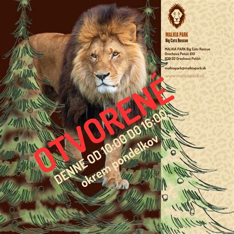 Infografika: Porovnanie utilitarizmu a teórie práv zvierat