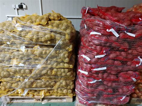 Zemiaky rôznych odrôd