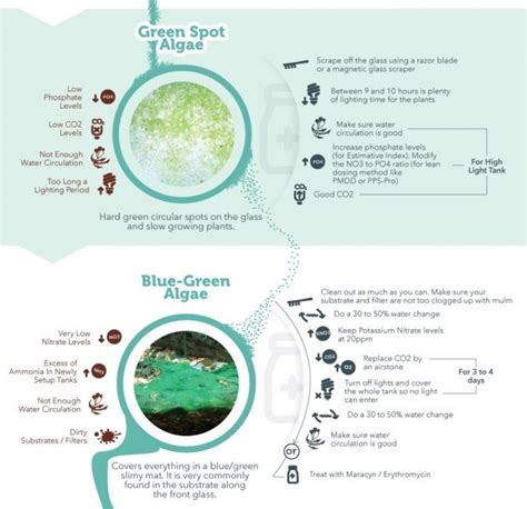 Infografika: Typy muškárskych nástrah a ich prezentácia