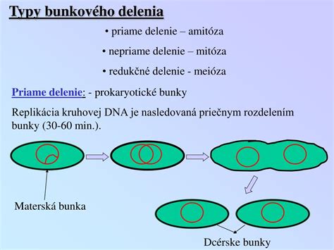 Ilustrácia bunkového delenia a vzniku nádoru