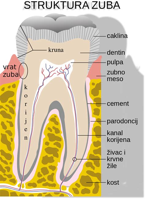 Detailné znázornenie uhla čela zuba na pílovom kotúči