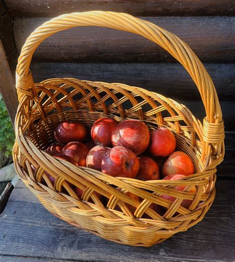 Košík s rôznymi odrodami jabĺk vhodnými na pečenie