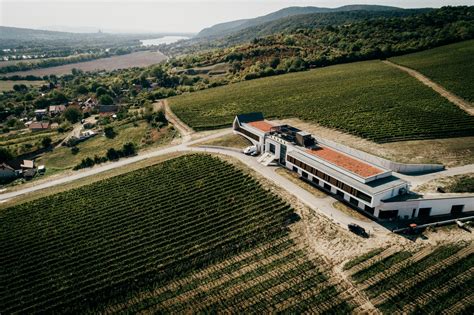 Fľaše vína Világi Winery a vinice