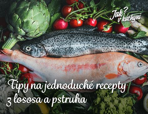 infografika porovnanie pstruha a lososa