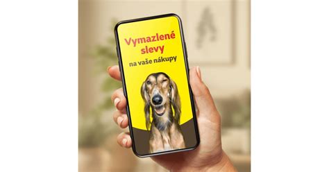 Mobilná aplikácia Super zoo s ukážkou exkluzívnych výhod a personalizovaných ponúk