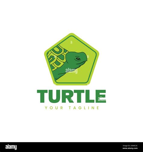 Logo a produkty značky Turtle