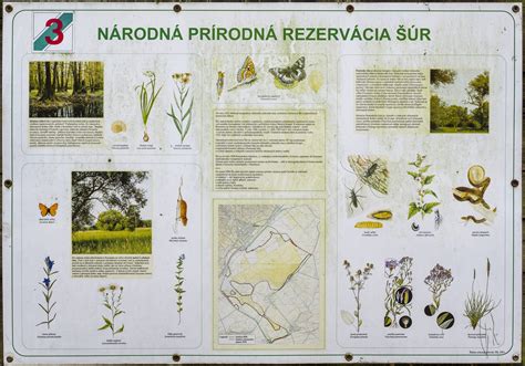 Flóra a fauna národnej prírodnej rezervácie Šúr