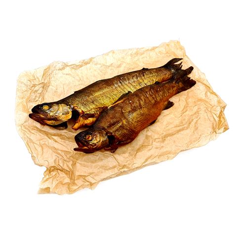 údený pstruh