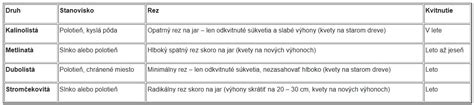 Rozdiely medzi rôznymi druhmi sušienok BeBe