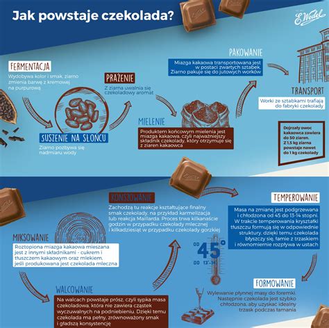 Infografika o Iniciatíve pre kakao a lesy (CFI)