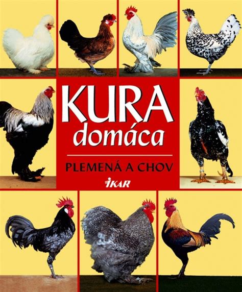 Pavlovská kura - ilustrácia plemena