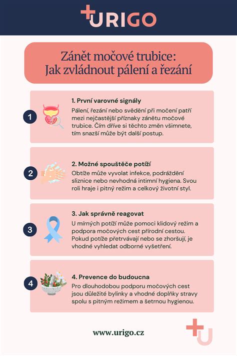 Nákres cystoskopu a jeho zavedenia do močovej trubice