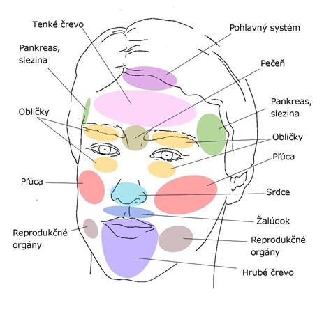 Mapa tváre s miestami pre aplikáciu lícenky, bronzeru a rozjasňovača