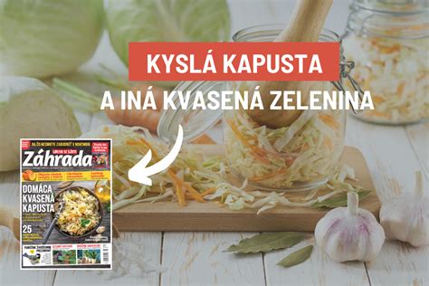 Infografika o probiotikách v kyslej kapuste