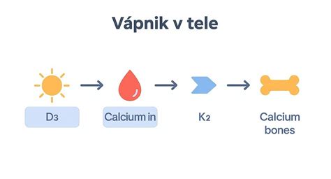 Schéma funkcií vápnika v tele psa a mačky