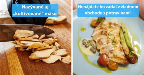 Pestované mäso vo fermentore