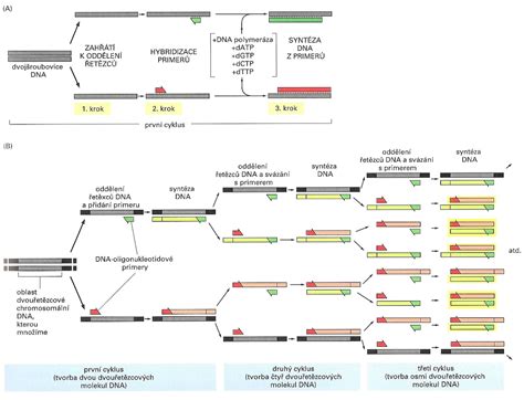 Schéma konštrukcie sendvičového dna hrnca