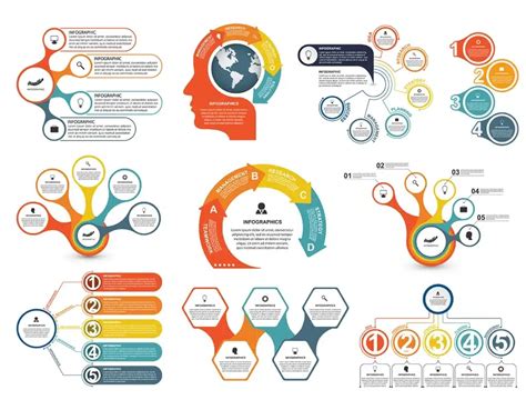 Infografika erotogénnych zón