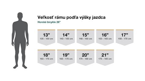 Grafické znázornenie porcií torty podľa jej veľkosti a tvaru