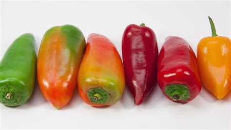 Rôzne druhy papriky