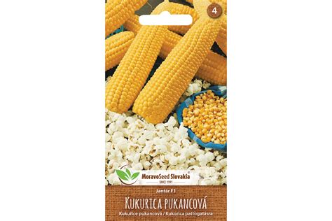 Rozličné typy zŕn kukurice (pukancová, tvrdá, škrobnatá, konský zub, cukrová)