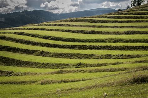 Terasovité polia v Liptovskej Tepličke