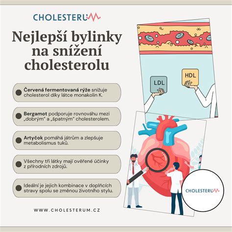 Schéma vplyvu beta-glukánov na cholesterol