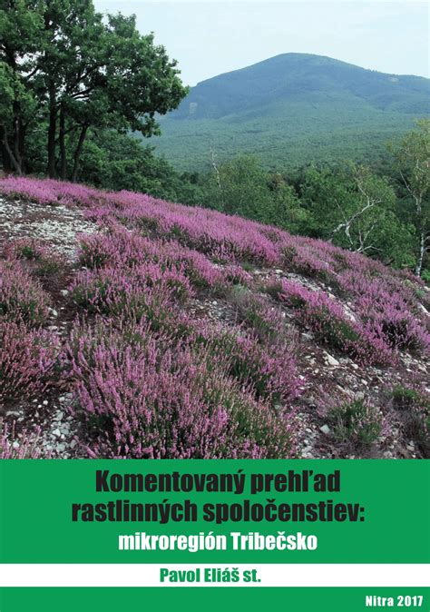Prehľad rastlinných smotán na trhu