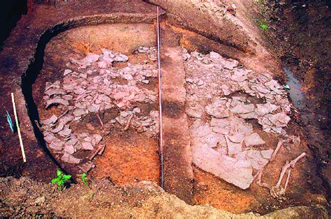 Archeológ skúmajúci nálezisko so zvieracími kosťami
