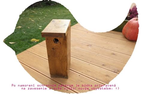 DIY výroba vtáčej búdky z tekvice