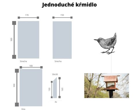 čistenie vtáčej búdky