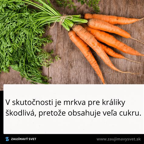 Ľudia trpiaci rôznymi druhmi bolesti