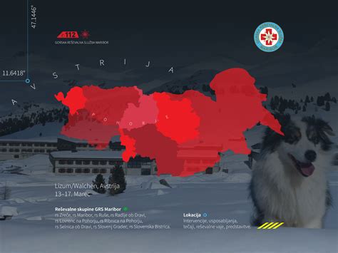 Mapa: Rozdelenie psov podľa veľkosti a odporúčanej frekvencie kŕmenia