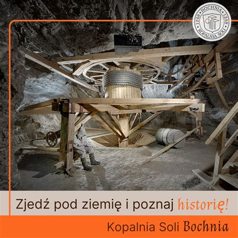 Retro fotografia kuraťa na soli