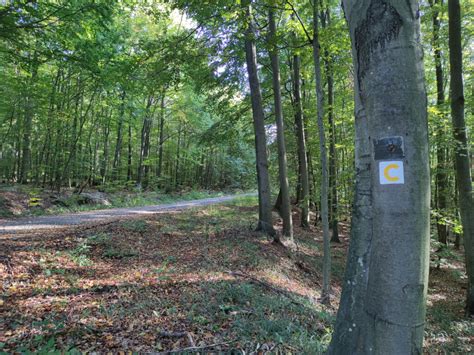 Grafika: Rozpočet obce Stakčín na dodávky