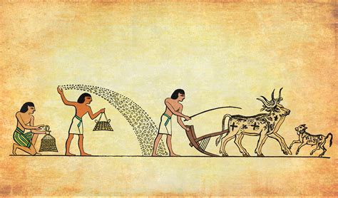 Historické zobrazenie výroby foie gras v starovekom Egypte