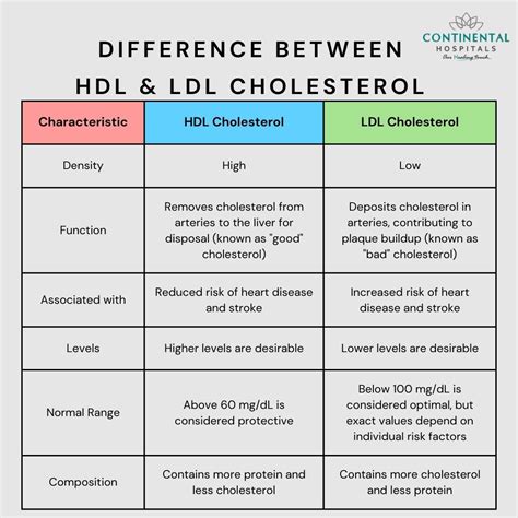 Rozdiel medzi HDL a LDL cholesterolom