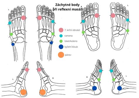 Ilustrácia vnímania chodidla pri barefoot chôdzi