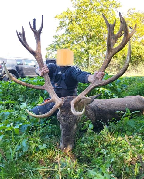 Jelenia farma a jej inovatívne technológie