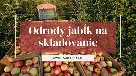 Rôzne odrody jabĺk na zaváranie