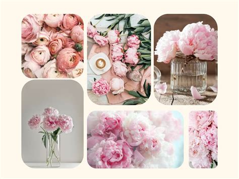 Koláž rôznych typov tortových plniek