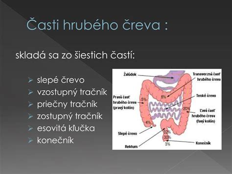 Pohyby haustrácií v hrubom čreve