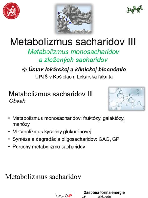 Príklady jednoduchých a zložených sacharidov