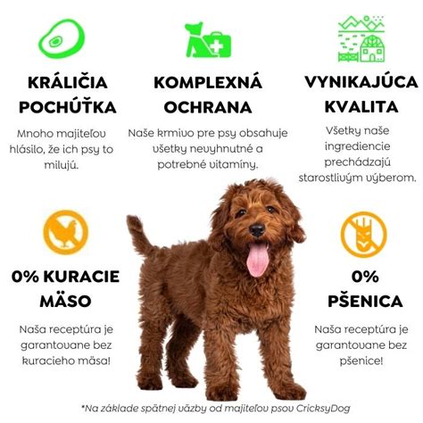 Infografika: Benefity kuracieho mäsa pre psov