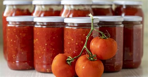 záhon s čerstvo dozrievajúcimi paradajkami