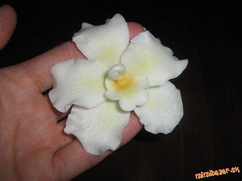 Cukrová orchidea na drôtiku