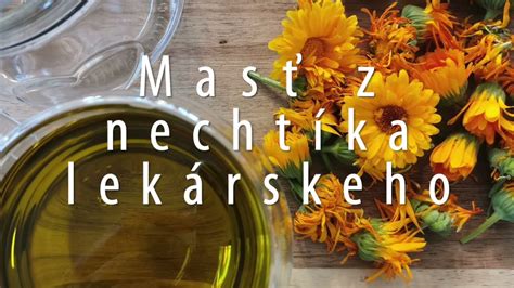 Mapa rozšírenia Nechtíka lekárskeho